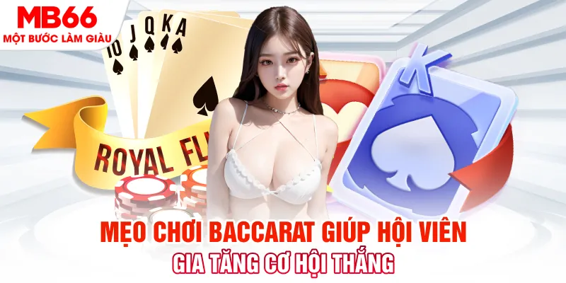 ta 88 đá gà 88