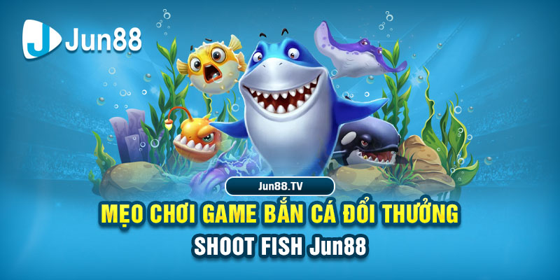 ta 88 tai game danh bai bigkool ve may tinh