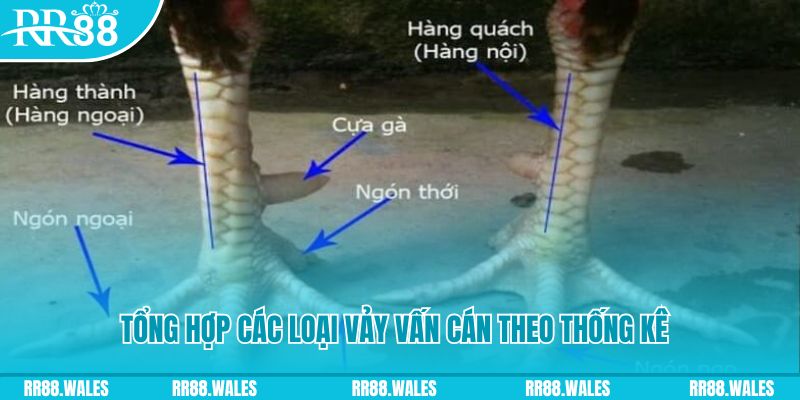 ta 88 nổ hũ chơi như thế nào