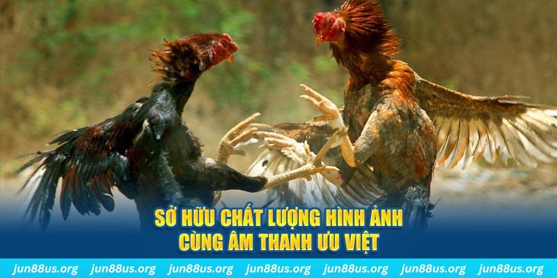 ta 88 tai game danh bai ve may tinh
