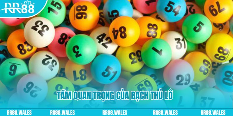 ta 88 đá gà trực tiếp casino