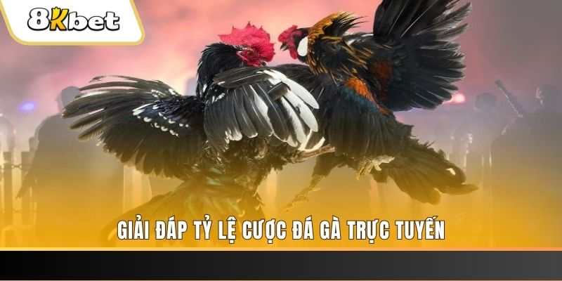 ta 88 xổ số ba đài
