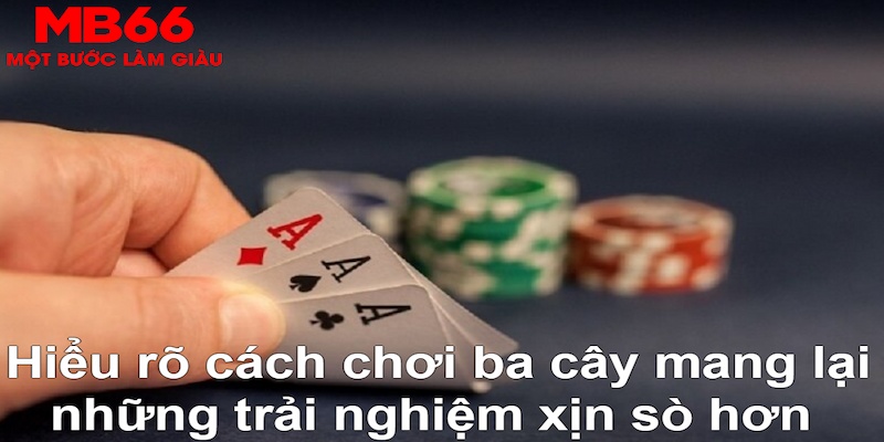 ta 88 ÁT CHỦ BÀI GIÀNH LẤY ZHUANG NIUNIU ( XEM 3 LÁ )